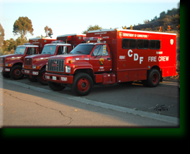 CDF Fire Crews