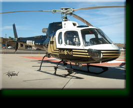 Life Net Helicopter