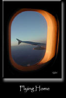 Flying Home