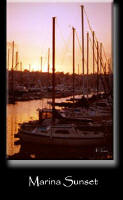 Marina Sunset