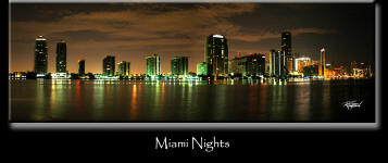 Miami Nights