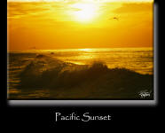 Pacific Sunset