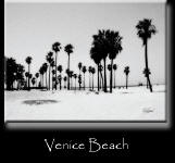 Venice Beach