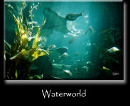 Waterworld