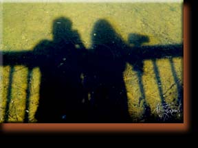 We shared some great times together.