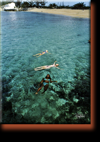 Mary, Jeni, & Michelle. Our trip to the Bahamas.