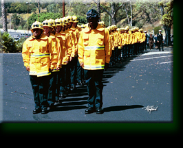 Los Angeles New Recruits