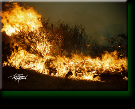 California Firestorm 2003