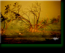 California Firestorm 2003