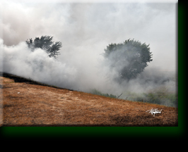 Chemical Toxic Smoke