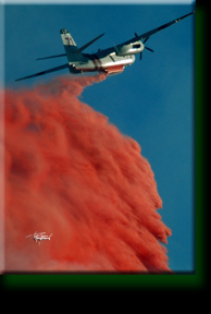 Wildland Fire San Diego