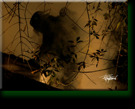 Townhouse Fire Alief 2007