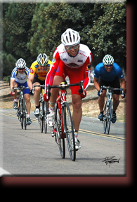 Cycling Races & Marathons